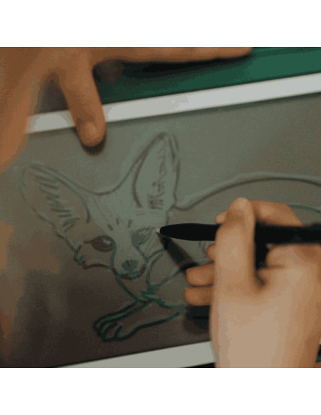 Recharge Kidydraw "Animaux du monde" et "Océans et pirates" - Kidywolf