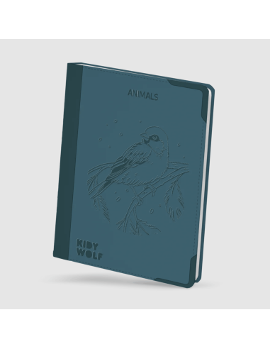 Tablette à dessin lumineuse Kidydraw-pad 8+...