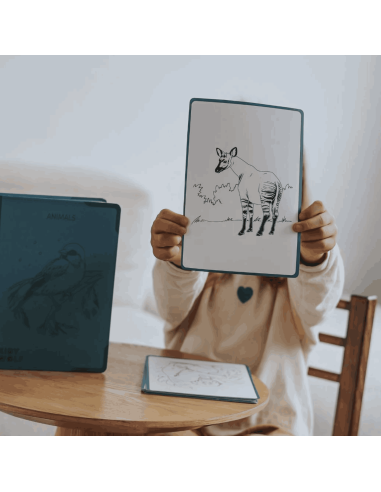 Tablette à dessin lumineuse Kidydraw-pad 8+...