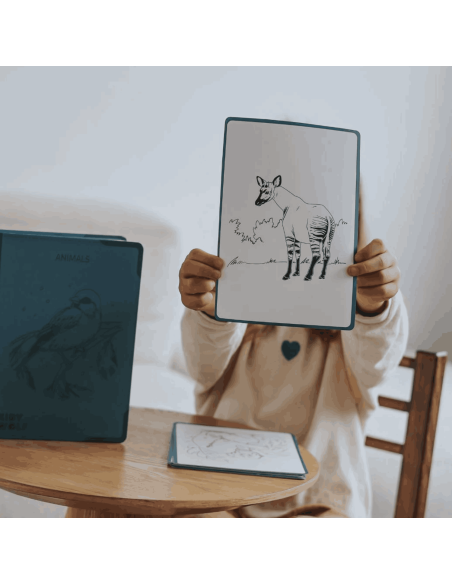 Tablette à dessin lumineuse Kidydraw-pad 8+ Animaux - Kidywolf
