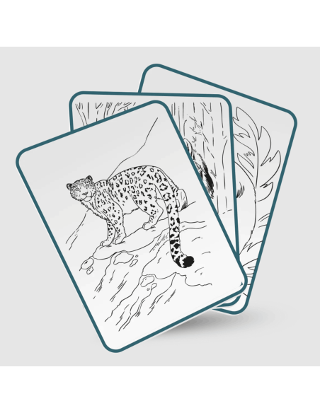 Tablette à dessin lumineuse Kidydraw-pad 8+ Animaux - Kidywolf