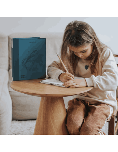 Tablette à dessin lumineuse Kidydraw-pad 8+...