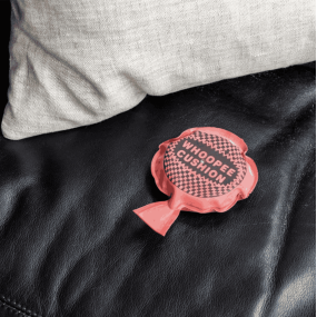 Mini coussin péteur - Rex London 2