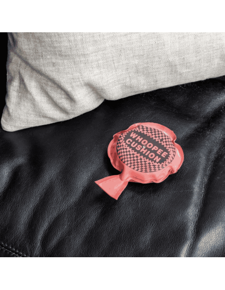 blague coussin prout