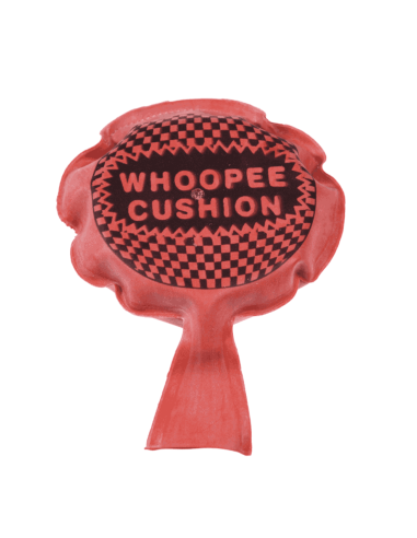 whoopee cushion coussin péteur