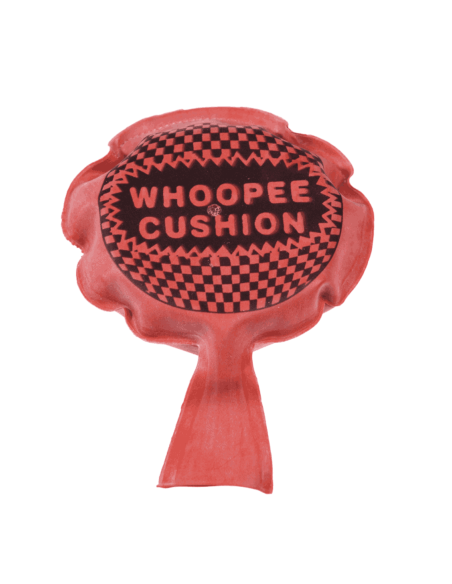 whoopee cushion coussin péteur