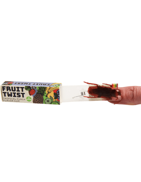 insecte rigolo en plastique blague