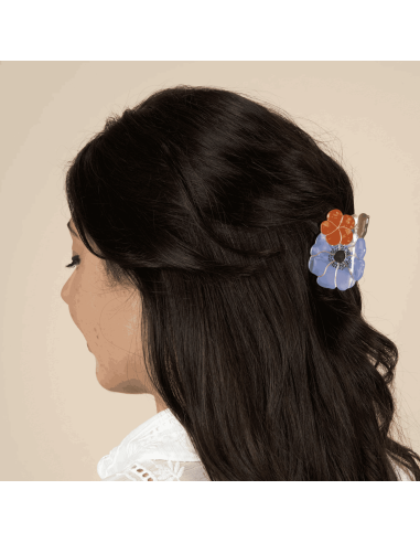 lucas du tertre pince à cheveux coucou suzette