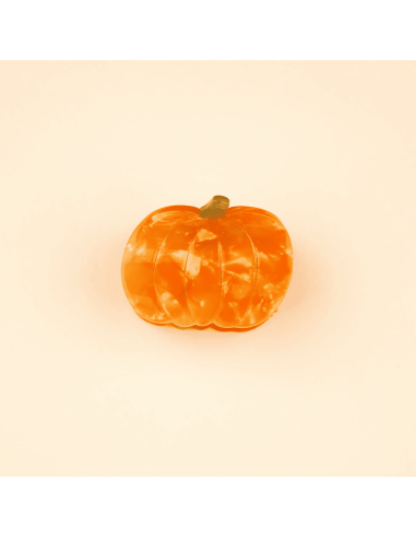 Petite Pince à cheveux Citrouille - Coucou Suzette