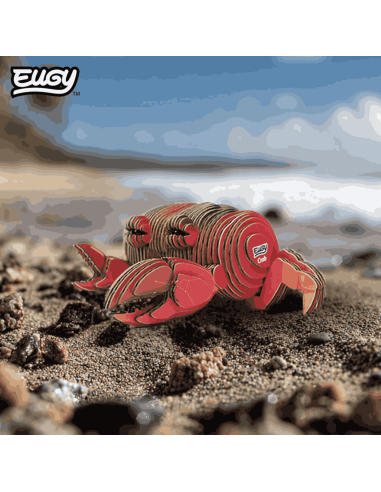 Eugy puzzle Crabe 3D en carton