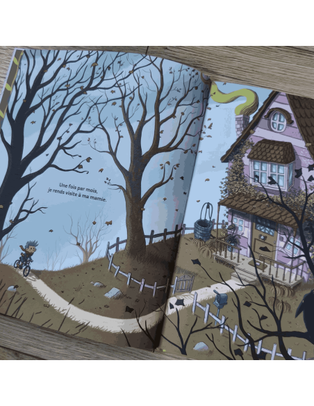 Livre L'effroyable et fantastique maison de mamie - Bayard