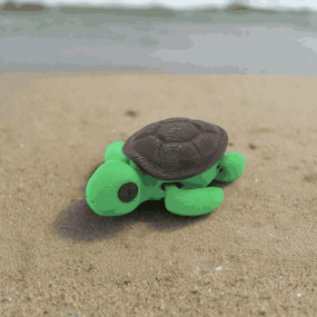 Tortue articulée - Zanimiz 2