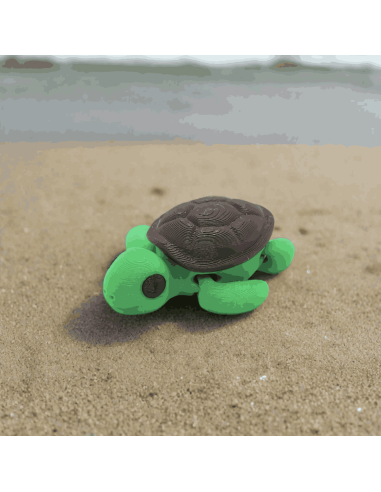 Tortue articulée - Zanimiz