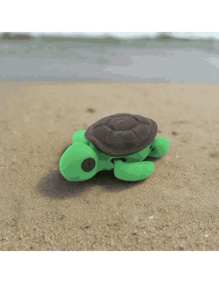 Tortue articulée - Zanimiz