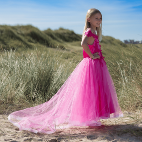 Robe déguisement Rose - Labay