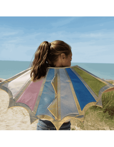 Déguisement ailes de dragon 4/10 ans - Labay