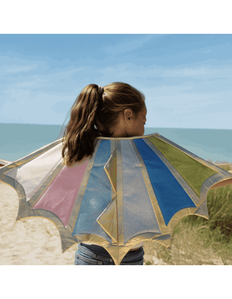 Déguisement ailes de dragon 4/10 ans - Labay