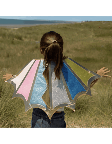 Déguisement ailes de dragon 4/10 ans - Labay