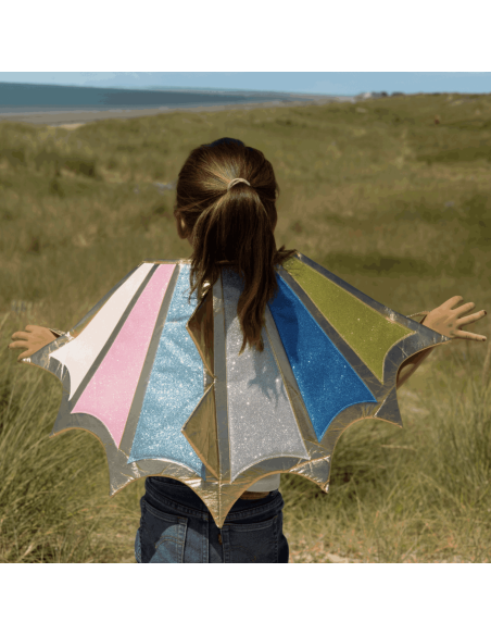 Déguisement ailes de dragon 4/10 ans - Labay