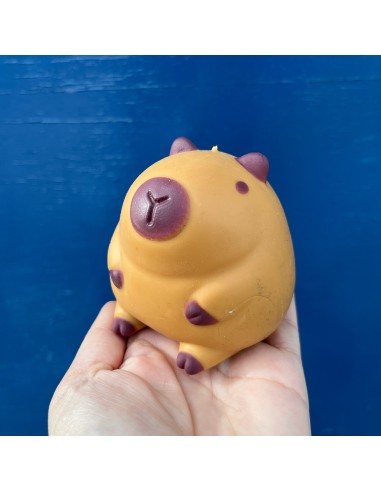 Squishy anti-stress capybara - Pasteq