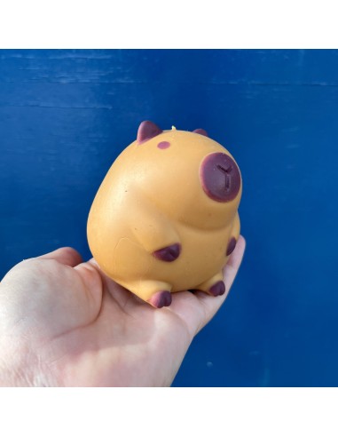 Squishy anti-stress capybara - Pasteq