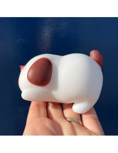 Squishy anti-stress chien blanc - Pasteq