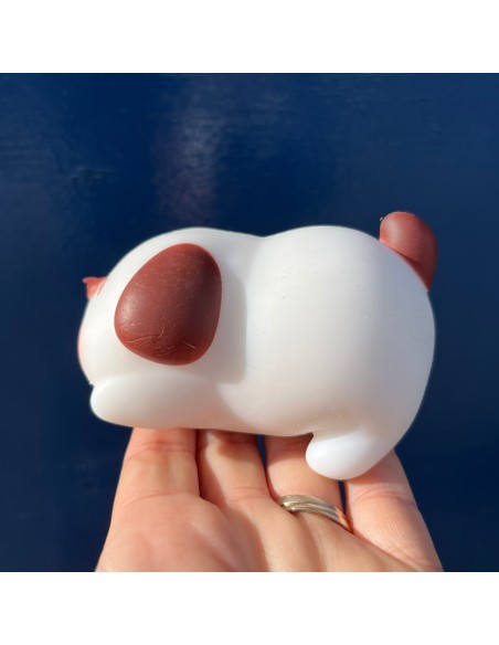 Squishy anti-stress chien blanc - Pasteq