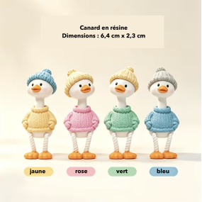 Petit canard à poser 2