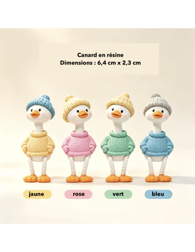 Petit canard à poser