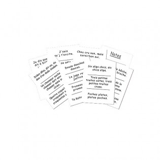 100 Phrases impossibles à répéter vites Marc Vidal 2