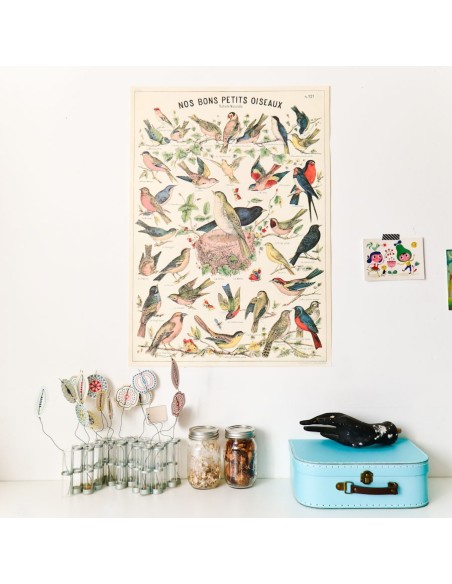 Affiche Oiseaux rétro vintage - Cavallini & Co