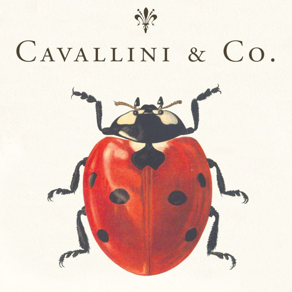 Cavallini & Co